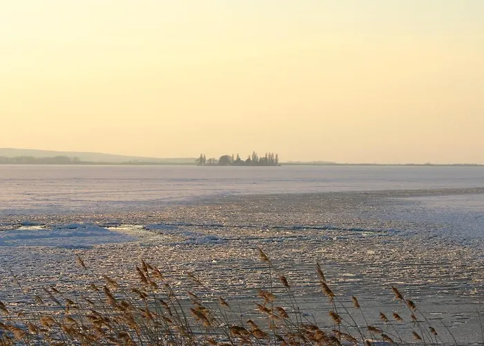 Luerssen Direkt Am Steinhuder 酒店 *